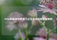 PUBG电脑端游更新 *** 及常见问题全面解析