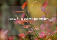 CSGO茄子，窥见游戏主播的独特魅力