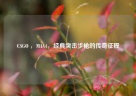 CSGO ，M4A4，经典突击步枪的传奇征程