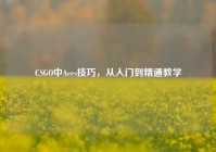 CSGO中Aces技巧，从入门到精通教学