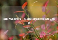 酵母发面蒸馒头，安琪酵母的蓬松美味技巧揭秘