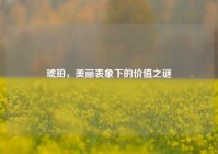 琥珀，美丽表象下的价值之谜