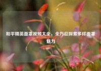 和平精英面罩视频大全，全方位探索多样面罩魅力