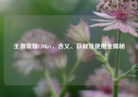 王者荣耀CDKey，含义、获取及使用全揭秘