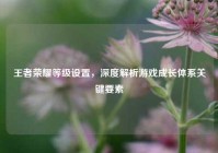 王者荣耀等级设置，深度解析游戏成长体系关键要素