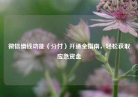 微信借钱功能（分付）开通全指南，轻松获取应急资金