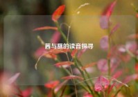 茜与蘸的读音探寻