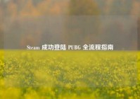 Steam 成功登陆 PUBG 全流程指南