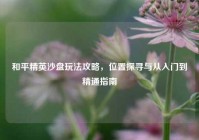 和平精英沙盘玩法攻略，位置探寻与从入门到精通指南
