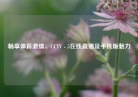 畅享体育     ，CCTV - 5在线直播及手机版魅力