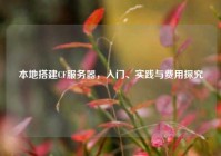 本地搭建CF服务器，入门、实践与费用探究