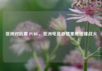 亚洲对抗赛 PUBG，亚洲电竞***重燃碰撞战火