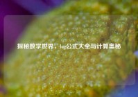 探秘数学世界，log公式大全与计算奥秘