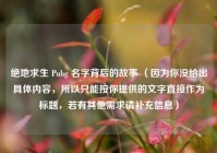 绝地求生 Pubg 名字背后的故事 （因为你没给出具体内容，所以只能按你提供的文字直接作为标题，若有其他需求请补充信息）