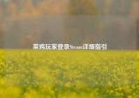 菜鸡玩家登录Steam详细指引