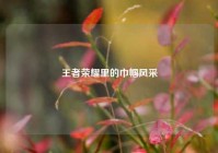 王者荣耀里的巾帼风采