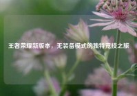 王者荣耀新版本，无装备模式的独特竞技之旅