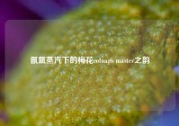 氤氲蒸汽下的梅花colnago master之韵