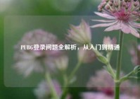 PUBG登录问题全解析，从入门到精通