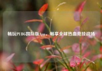 畅玩PUBG国际版App，畅享全球热血竞技战场