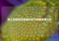 吸入浓烟后的清肺妙招与呼吸健康守护