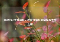 揭秘CSGO大片模板，视觉打造与图案模板大小之辨