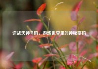 逆战天神号码，游戏世界里的神秘密码