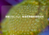 探秘 CSGO_wXian，电竞世界里的独特符号