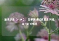 绝地求生（PUBG），图形高性能设置全攻略，提升游戏体验