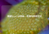 揭秘Steam CDK网站，机遇与风险交织