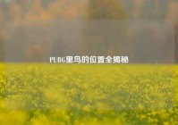 PUBG里鸟的位置全揭秘