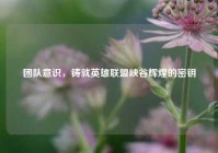 团队意识，铸就英雄联盟峡谷辉煌的密钥