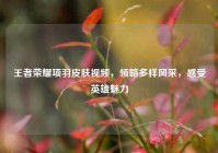 王者荣耀项羽皮肤视频，领略多样风采，感受英雄魅力