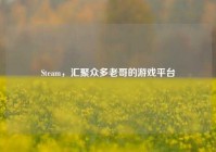 Steam，汇聚众多老哥的游戏平台