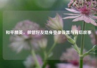 和平精英，微信好友隐身登录设置与背后故事