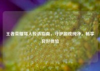 王者荣耀骂人投诉指南，守护游戏纯净，畅享良好体验