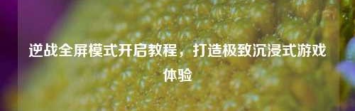 逆战全屏模式开启教程，打造极致沉浸式游戏体验