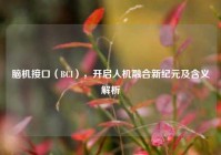 脑机接口（BCI），开启人机融合新纪元及含义解析