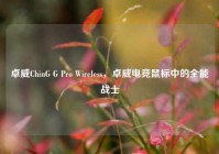卓威ChinG G Pro Wireless，卓威电竞鼠标中的全能战士