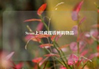 Steam上可成摇钱树的物品