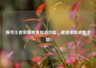 探寻王者荣耀观赛取消功能，便捷体验调整之路