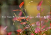 Euro Steam: Merging European Elegance with Steam Power