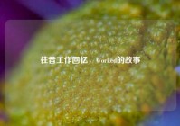 往昔工作回忆，Worked的故事