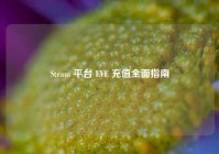 Steam 平台 EVE 充值全面指南