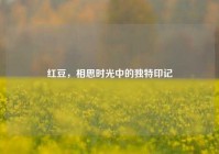 红豆，相思时光中的独特印记