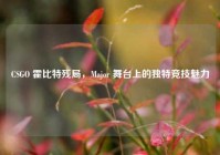 CSGO 霍比特残局，Major 舞台上的独特竞技魅力