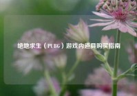 绝地求生（PUBG）游戏内道具购买指南
