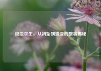 绝地求生，从初始到蜕变的整容揭秘