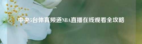 中央5台体育频道NBA直播在线观看全攻略
