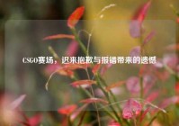 CSGO赛场，迟来抱歉与报错带来的遗憾